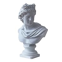11.8 Inch Classic Greek God of Sun and Poetry Apollo Head Bust Statue Roman Sculpture Figurine for Decoration and Collection