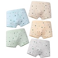 Underwear For Toddler Boys Breathable Skin Friendly Soft Full Print Cartoon Bear Cotton Boys Boxer Briefs (10 of pack)