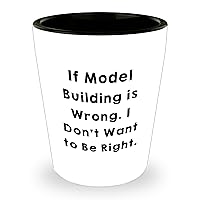 Funny Model Building Shot Glass | If Model Building Is Wrong I Don't Want To Be Right | Unique Mother's Day Unique Gifts for Model Builders from Husband