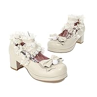 Womens Round Toe Lace Oxfords Mary Janes Shoe with Block Heels Buckle Strap for Girls Sweet Cosplay Lolita Dress