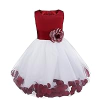 YiZYiF Flower Girl Dress Kids Petals Sash Wedding Bridesmaid Formal Pageant Recital Graduation Gowns