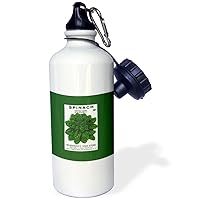 3dRose Spinach Norfolk Savoy or Bloomsdale Vegetable Seed Packet-Sports Water Bottle, 21oz , 21 oz, Multicolor