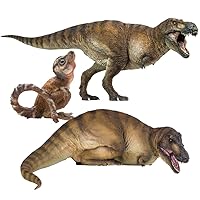 PNSO The Tyrannosaurus rex Family