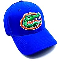 Men's Champ Fashion Florida Gators Embroidered Cap (Big Logo) Royal Blue