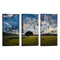 3 Pieces Oil Prints Wall Art Tree Field Nature Landscape Pictures Modern Painting for Living Room Bedroom Office Home Decoration Wall Decor Large
