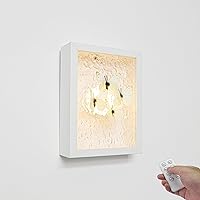 Remote Control Acrylic Wall Sconce Battery Wall Hanging Frame Lightbox No Wiring Needed, Color Changing Dimmable, Smart Timer with 3D Simulated Butterflies for Home Decor Gallery, Cream