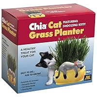 Chia Pet Kitty Cat Grass, Decorative Pottery Planter, Easy to Do and Fun to Grow, Novelty Gift, Perfect for Any Occasion
