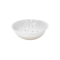 Casafina Ceramic Stoneware 10