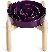 LE TAUCI Ceramic Slow Feed Dog Bowls, Elevated for Small and Medium Breed Dogs, Anti-Gulping Pet Feeding Dishes, Maze Purple, 1.5 Cups