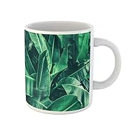 Coffee Mug Green Tropical Banana Leaf Large Palm Foliage Nature Dark 11 Oz Ceramic Tea Cup Mugs Best Gift Or Souvenir For Family Friends Coworkers