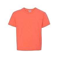 Fruit of the Loom HD Cotton Youth Short Sleeve T-Shirt L Retro Heather Coral