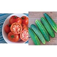 Burpee 'Early Pick VF' Hybrid Red Beefsteak Tomato 50 Non-GMO Seeds + Straight Eight Slicing Cucumber Seeds 200