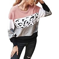 Women's Sweaters Casual Long Sleeve Tunic Tops Leopard Print Fall Tshirt Blouses