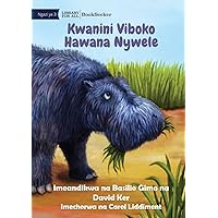 Why Hippos Have No Hair - Kwanini Viboko Hawana Nywele (Swahili Edition)