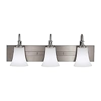 Sea Gull Lighting VS12703-BS Barrington Three Light Wall/Bath Vanity Style Fixture, 3, Brushed Steel