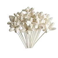 40 Mini Night Jasmine Sola Flower Reed Diffuser for Home Fragrance Aroma Oil by Plawanature