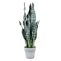 Artificial Snake Plant Faux Sansevieria 26 Inch for Indoor Outdoor Feaux Plants in Pot for Home Office Decoration Perfect Housewarming Gift