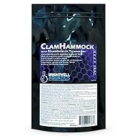 Clam Hammock - Zooxanthellate Marine Bivalve Bed Composed of Xport-Ca