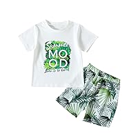Baby Outfits for Boys Short Sleeve Button Down Shirt Casual Cute Shorts Set Cartoon Prints Outfits Clothes