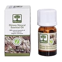 Dittany Natural Essential Oil (5ML)