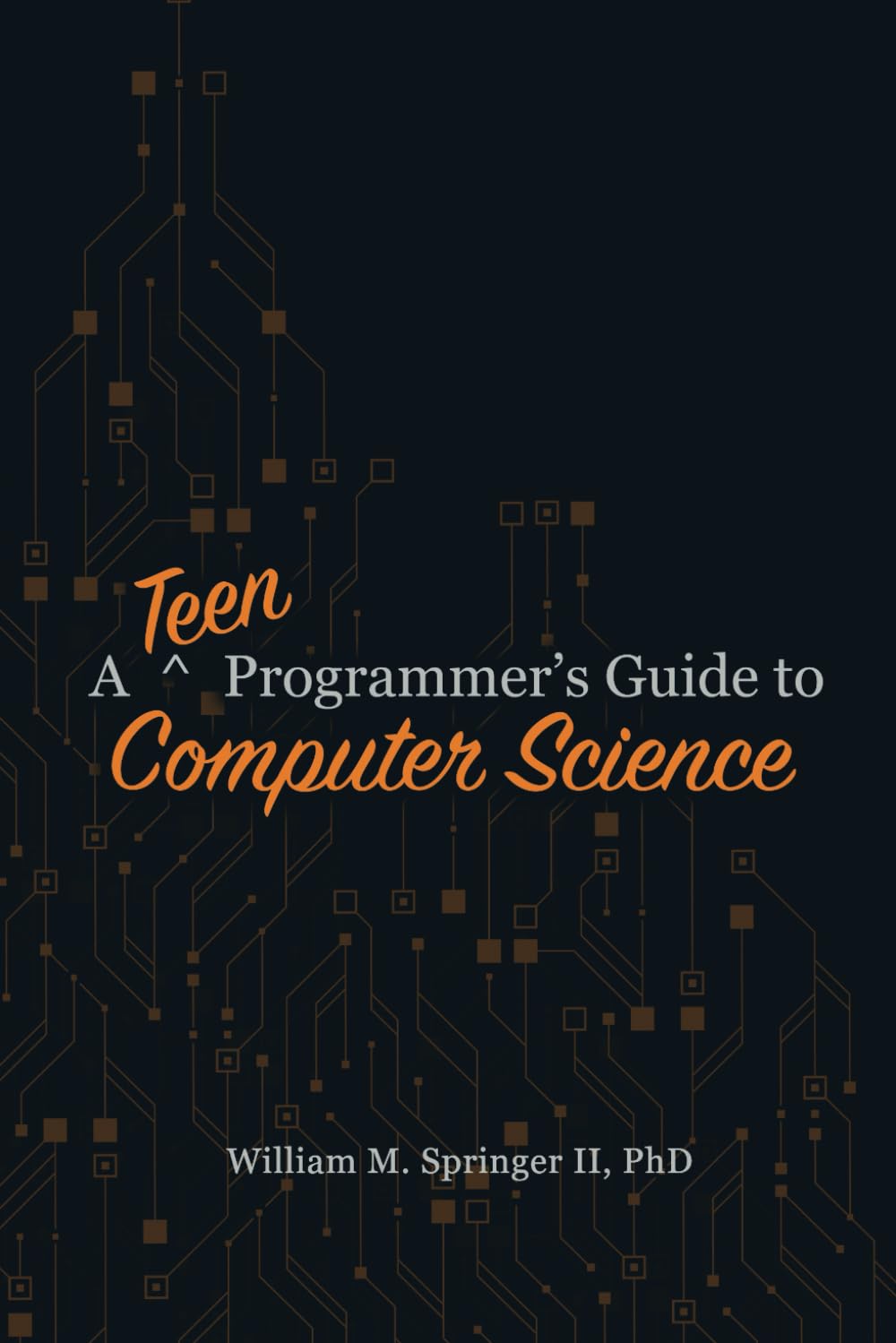 A Teen Programmer's Guide to Computer Science (A Programmer's Guide to Computer Science)