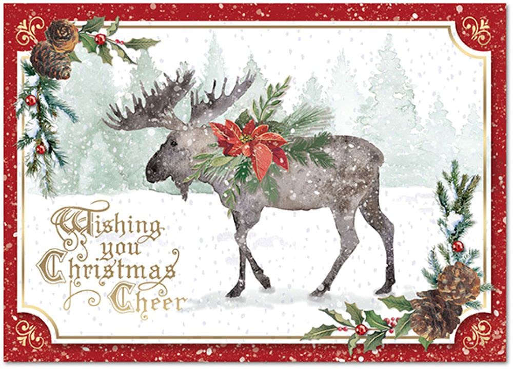 Punch Studio Christmas Tree Boxed Christmas Cards Set of 12 (50402), Multicolor