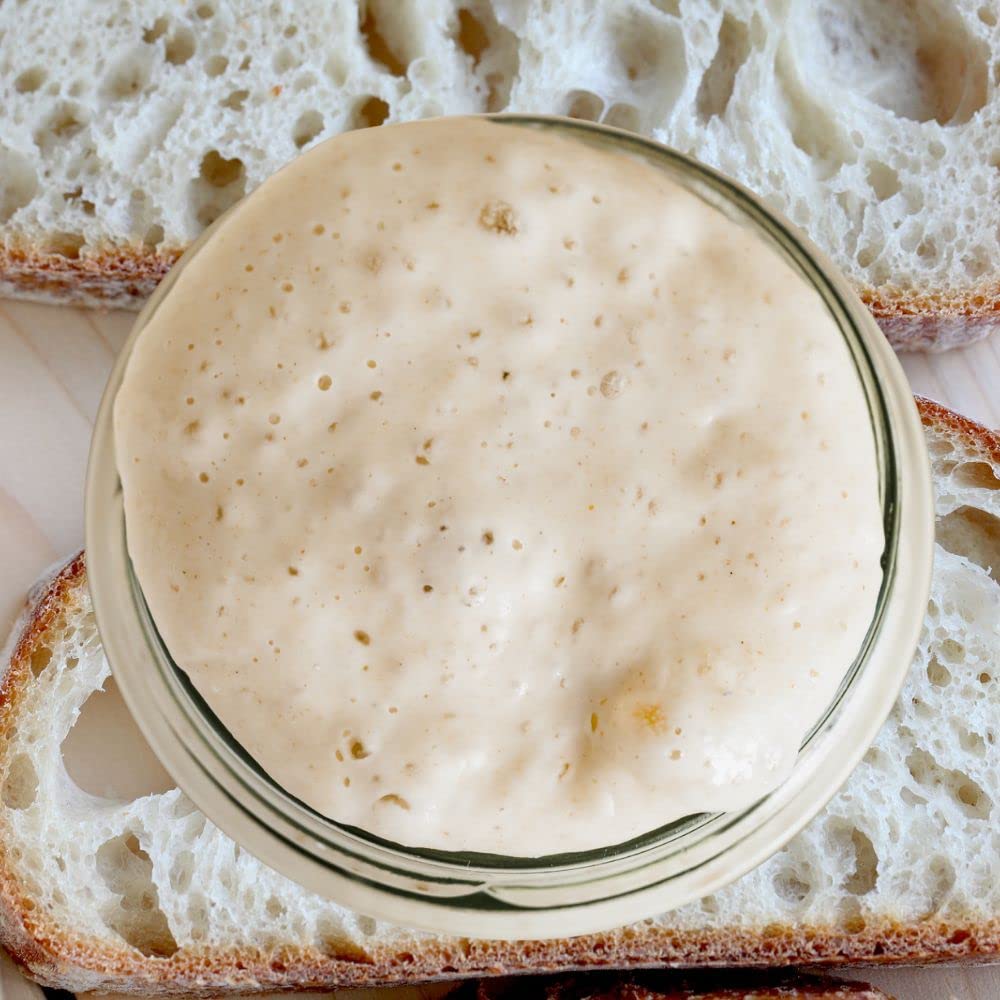 Mua Full Proof Baking Fresh Sourdough Starter Culture - Live Sour Dough  Organic Wheat & Rye Flour Levain Building - Non-GMO Ready to Ferment DIY  Homemade Healthy Active Starter for Artisan Breads 