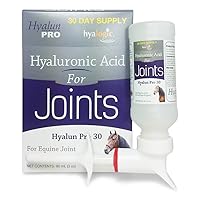 Hyaluronic Acid for Horses 30 Day Supply for Joint Health - Easy Oral Tip Dispenser - Liquid HA for Equine Joints & Cartilage Support Supplement - Hyalun Pro Equine Supplies - 3 oz / 90 ml
