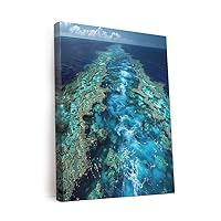 GiftedHandsCo Great Barrier Reef Ecosystem Design 2 Canvas Wall Art Prints Pictures Gifts Artwork Framed For Kitchen Living Room Bathroom Wall Home Decor Ready to Hang