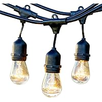 Newhouse Lighting Outdoor String Lights with Hanging Sockets; Weatherproof Technology; Heavy Duty 25-foot Cord; 10 Lights Bulbs Included (2 Free Replacement), Black, 25 ft