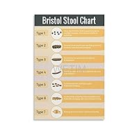 Bristol Stool Chart Diagnosis Constipation Diarrhea Bristol Stool Chart Poster (7) Canvas Painting Posters And Prints Wall Art Pictures for Living Room Bedroom Decor 12x18inch(30x45cm) Unframe-style