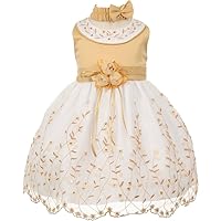 Flower Girl Sleeveless Rounded Neck Embroidery Baby & Infant Dress