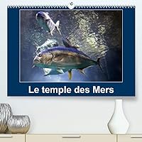 Le temple des Mers(Premium, hochwertiger DIN A2 Wandkalender 2020, Kunstdruck in Hochglanz): Situé sur le rocher de Monaco, le Musée océanographique ... mensuel, 14 Pages ) (French Edition)