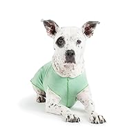 Sun Shield Dog Tee – T-Shirt for Canines – UV Protection, Pet Anxiety Relief, Wound Care – Protects Against Foxtails, Aids Alopecia - Machine Washable, All Season – Size 26 – Pistachio