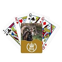 Sheep Forestry Science Nature Royal Flush Poker Playing Card Game