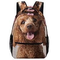 Large Carry on Travel Backpacks for Men Women Red Poodle Dog Business Laptop Backpack Casual Daypack Hiking Sports Bag