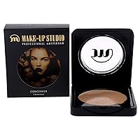 Concealer Hide And Correct Imperfections - For Flawless Results - Ideal For Touch-Ups On The Go - Shade 1-0.11 Oz, (PH10944/1)