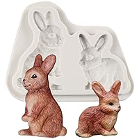Rabbit Silicone Fondant Mold Easter Bunny Chocolate Candy Mold for Cake Decoration Cupcake Topper Sugar Craft Polymer Clay Gum Paste