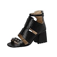 Sandals For Women Casual Summer Ladies Fashion Snakeskin Leather Hollow Thick High Heeled Zippered Roman Sandals