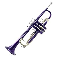 SKYPTR101-PR Trumpet, Bass
