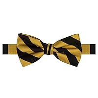 Jacob Alexander Stripe Woven Men's College Striped Pretied Bowtie