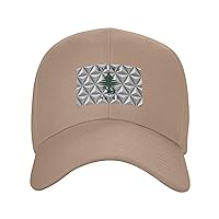 Ensign of Maine with Polygonal Effects Baseball Cap for Men Women Dad Hat Classic Adjustable Golf Hats