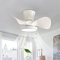 YFouCnd I Modern Small Ceiling Fan with Lighting Reversible 6-Speed Quiet Ceiling Fan with Light and Remote Control Smart Dimmable Lamp with Fan with Memory Function Bedroom White