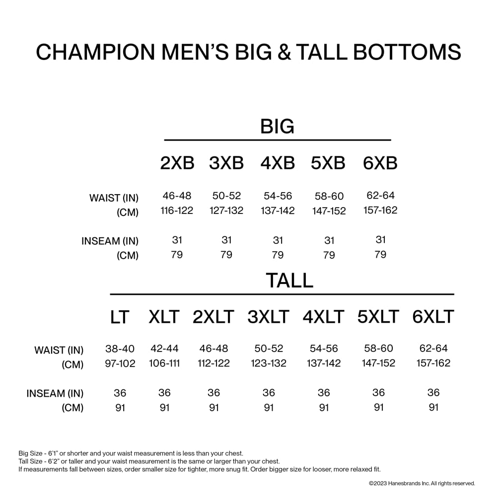 Champion Men's Shorts, Everyday Shorts, Lightweight Long Shorts for Men (Reg. Or Big & Tall)