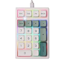 EPOMAKER TH21 21 Keys Hot Swappable Wired Numpad with RGB Backlight, Programmable,XDA Profile PBT Keycaps for Win/Mac(Epomaker Flamingo Switch)