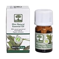 Mint Natural Essential Oil (5ML)