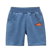 Toddler Kids Baby Boys Jogger Shorts Summer Cotton Casual Dinosaur Embroider Short Plus Size Boy Shorts for Women 3X