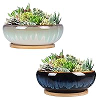 SQOWL 8 Inch Ceramic Succulent Planter Pot with Drainage Hole