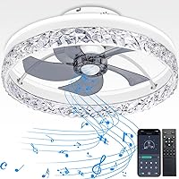 Low Profile Ceiling Fan with Light,Flush Mount Ceiling Fan with Bluetooth Speakers,Remote APP Control,6-Speeds Reversible Blade,for Bedroom Kitchen Living Room,20inch