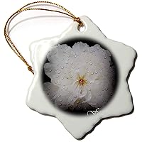 3dRose Faith White Peony with Effects - Ornaments (orn-22378-1)